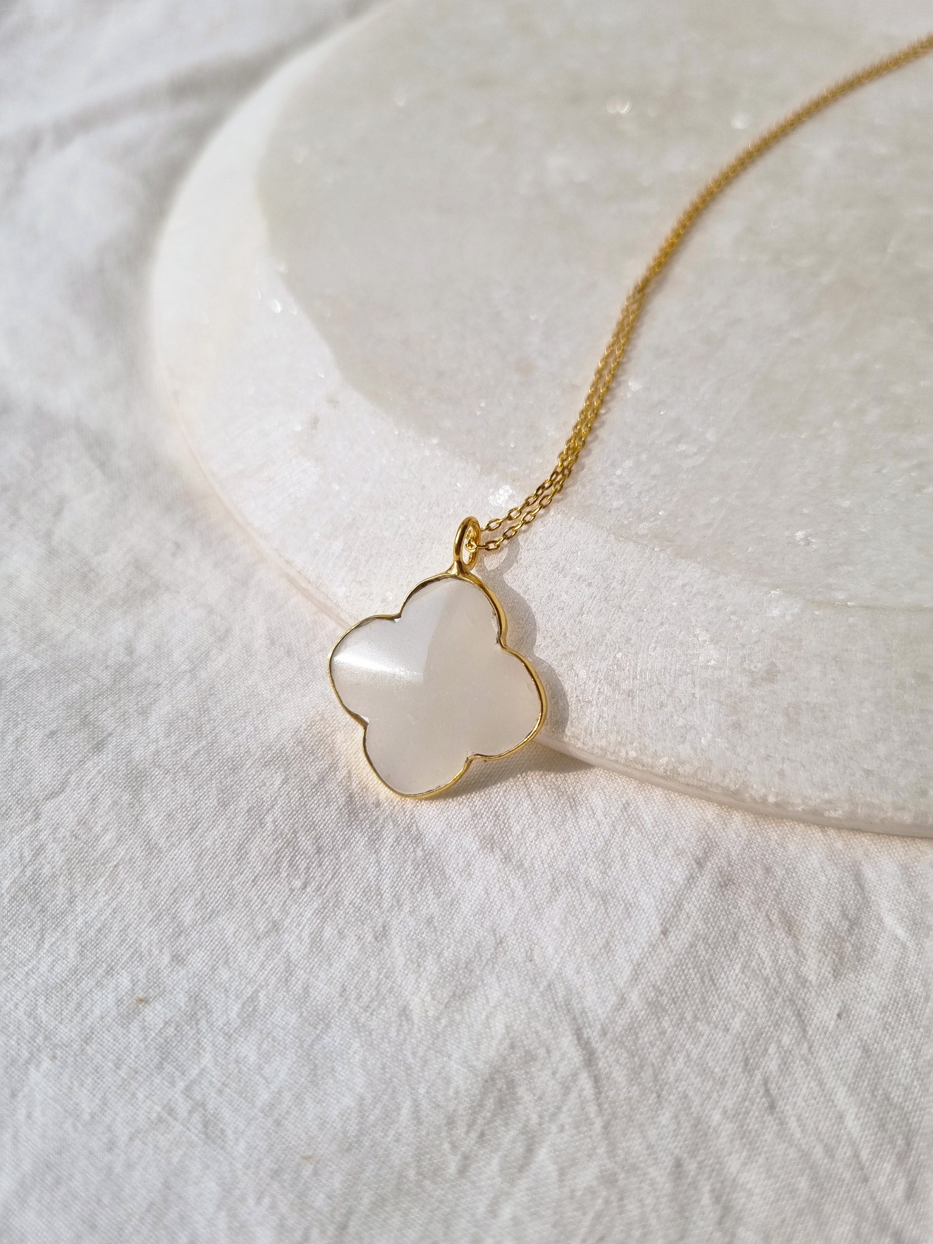 clover | तिपतिया